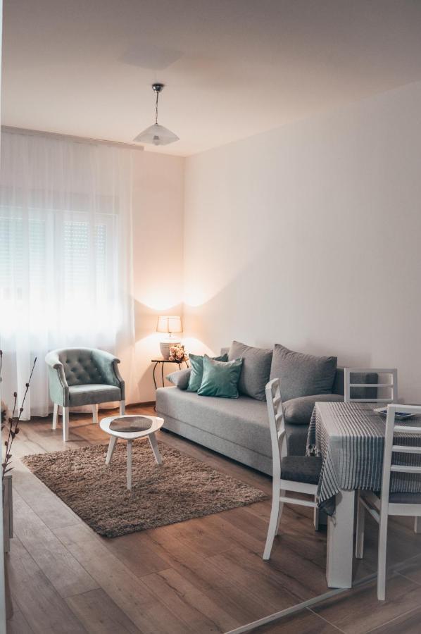 Apartman Lena Banja Koviljača 외부 사진