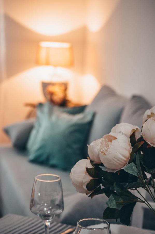 Apartman Lena Banja Koviljača 외부 사진